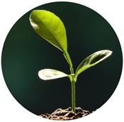 如何管理環(huán)境績效