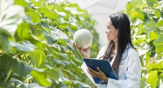 Safety Gauge 2017: Food