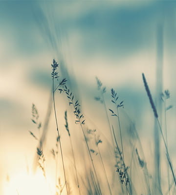 sustainability report 2023