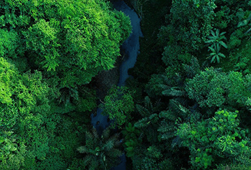 可持續(xù)發(fā)展服務(wù)