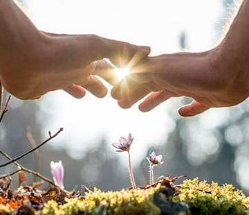 Our sustainability commitment