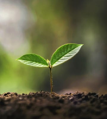 sustainability training